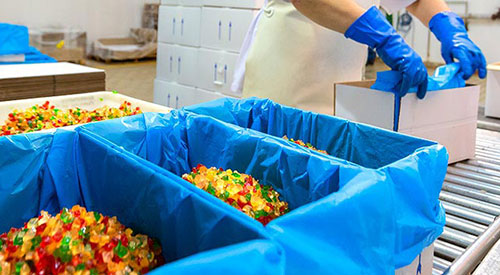 Empaquetando cubitos de fruta confitada en cajas con bolsa.